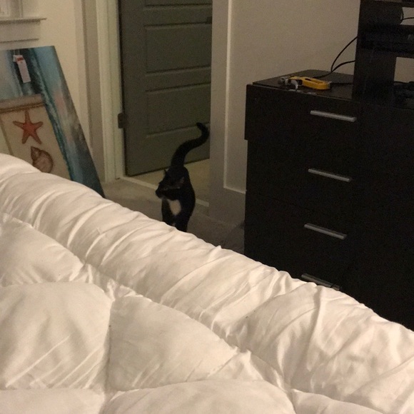 Meet your Posher, Jennifer - Picture 1 of 1